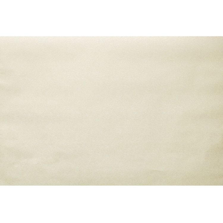 შპალერი Valentino Plain 12 1.06*10.05m,10m2 სურათი
