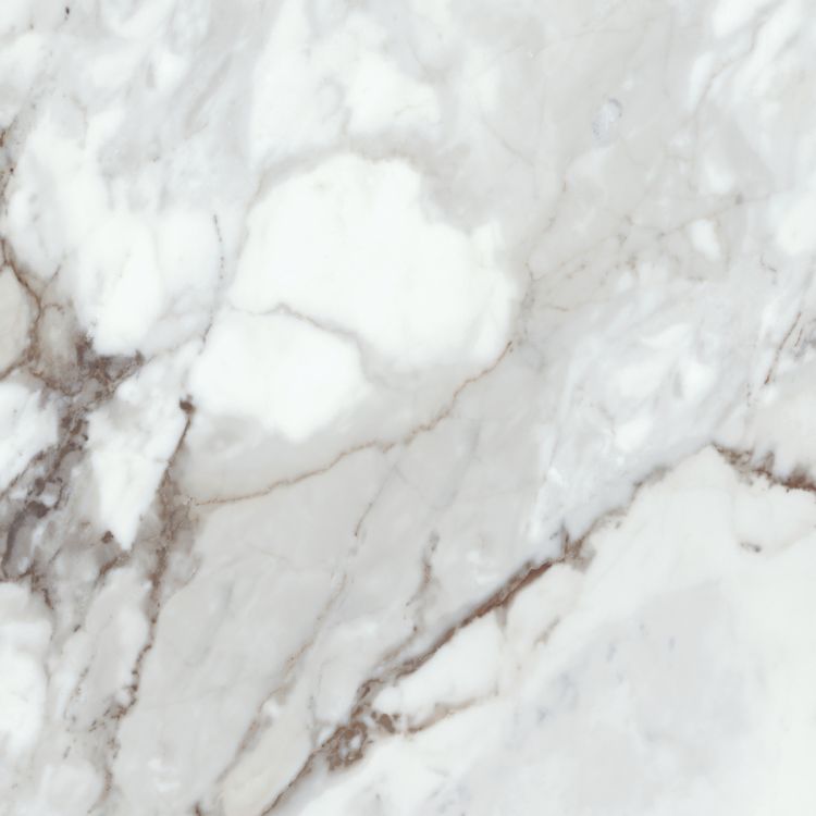 კერამო გრანიტი F.LPR BONITA GOLD 59,5X59,5 სურათი