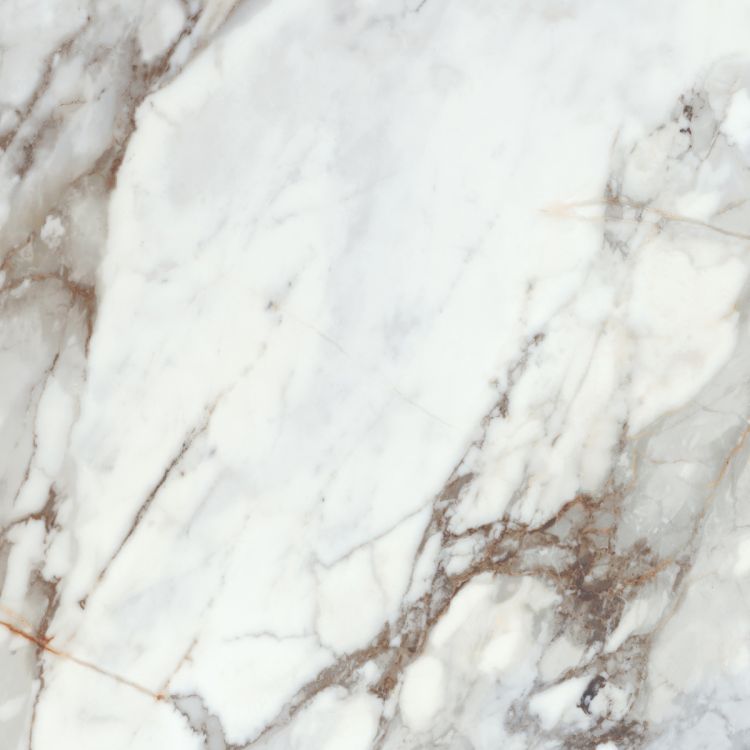 კერამო გრანიტი F.LPR BONITA GOLD 59,5X59,5 სურათი