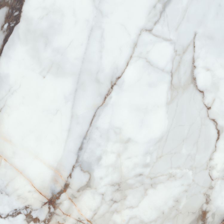 კერამო გრანიტი F.LPR BONITA GOLD 59,5X59,5 სურათი