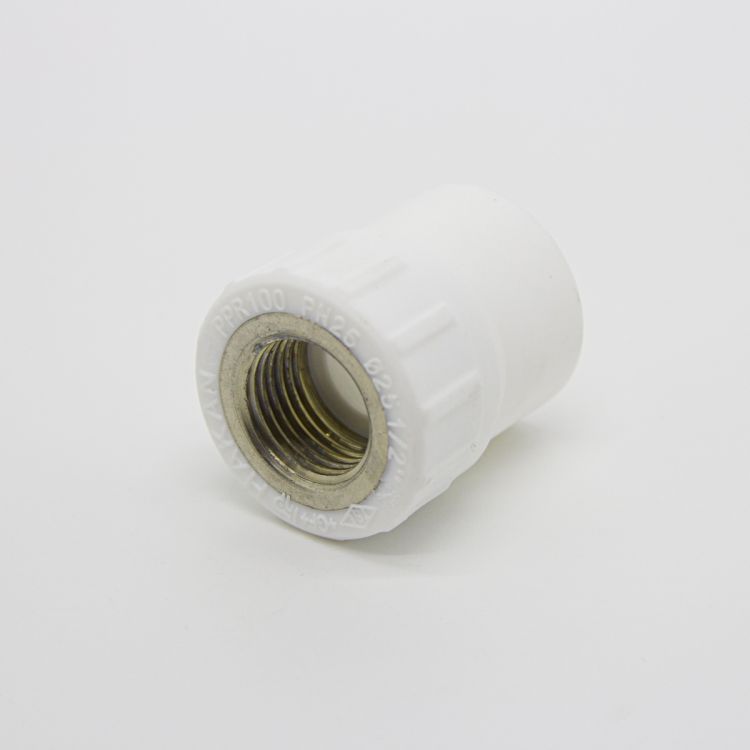 გადამყვანი მუფტა GF F 25 MM 1/2 PN25 სურათი