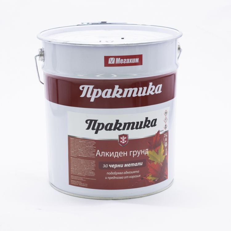 პრაქტიკა ალკიდის გრ.ნაცრ. 25 კგ სურათი