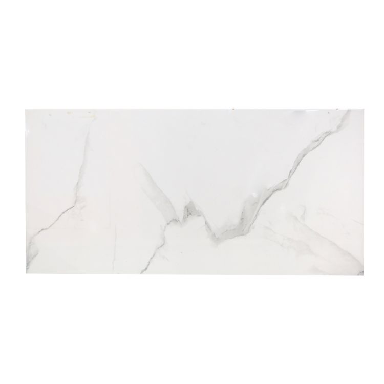 კედლის ფილა Selena White 30X60 სურათი