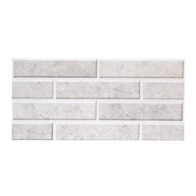 კედლის ფილა AJORNEBA B2 30X60 სურათი