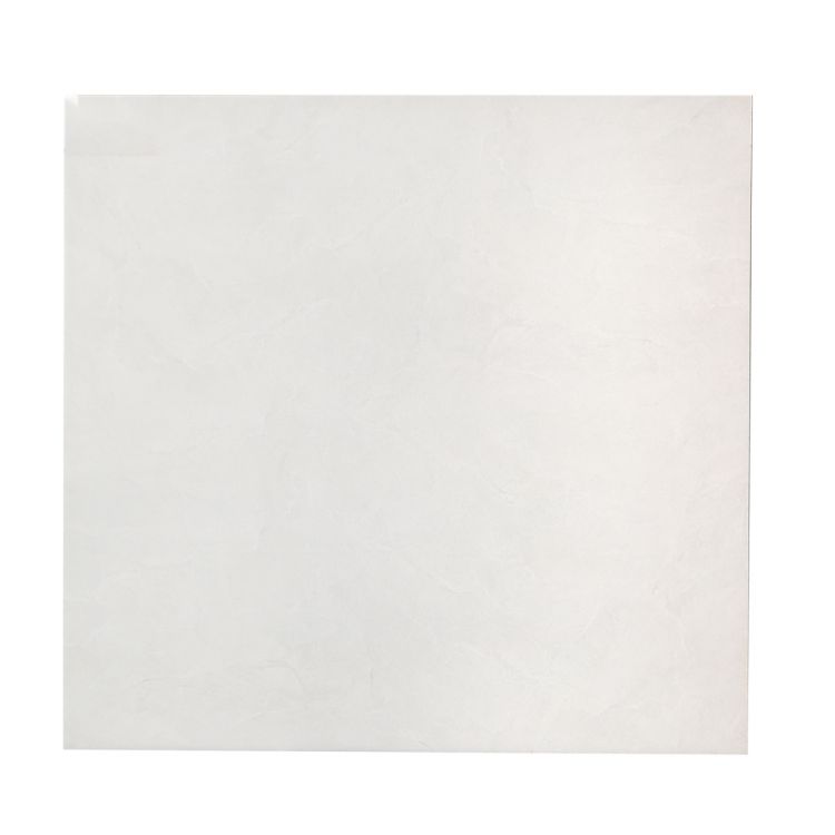 იატაკის ფილა AYRIS GRAY LIGHT Matt 50X50 (M062) სურათი