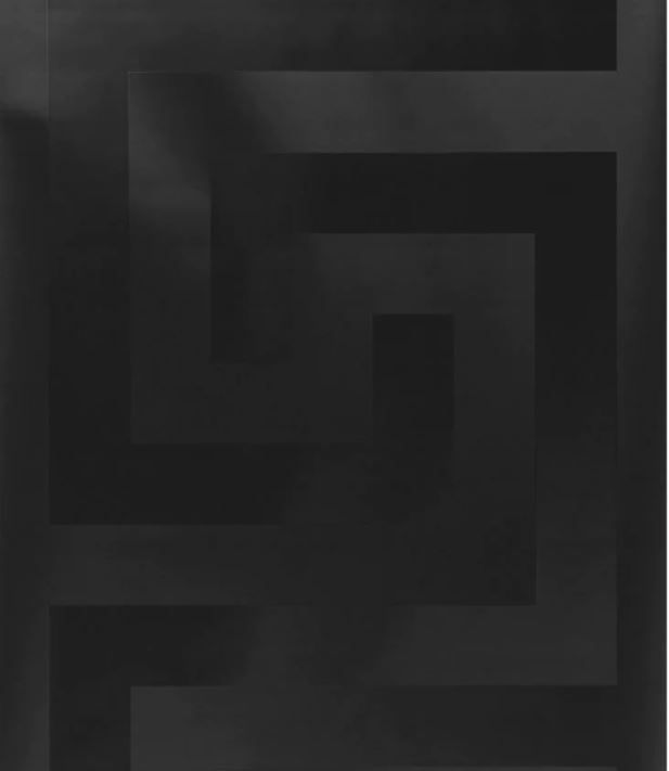 შპალერი ფლიზელინის 0,7-10მ versace 93523-4 სურათი