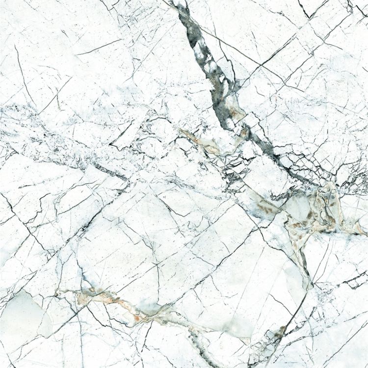 იატაკის ფილა ELEGANT WHITE 45X45 სურათი