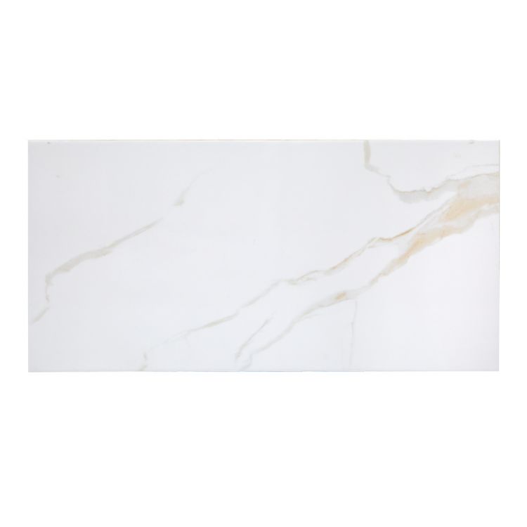 კედლის ფილა CLASSIC CARRARA GOLD DK 30X60 სურათი