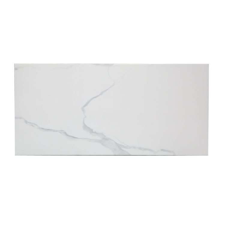 კედლის ფილა CLASSIC CARRARA DK 30X60 სურათი