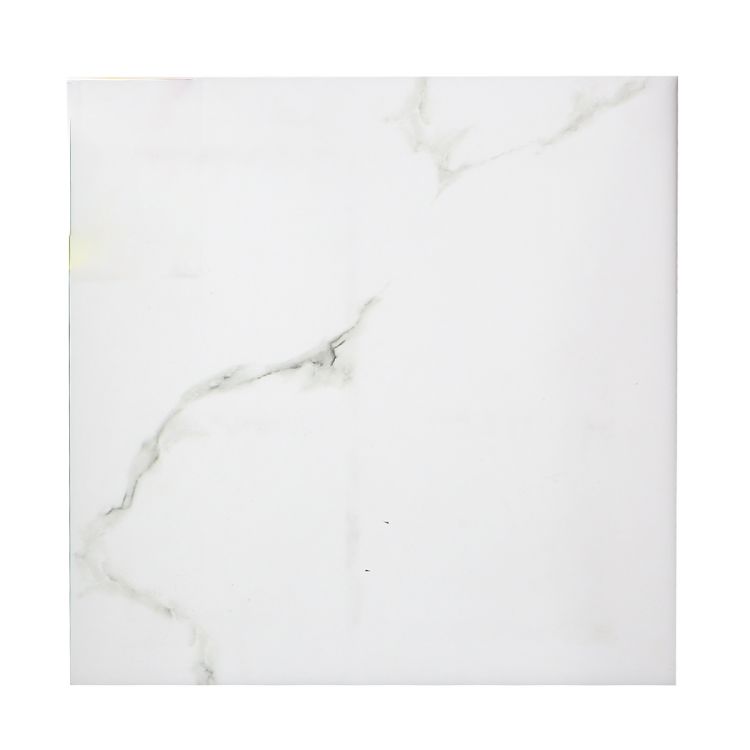 იატაკის ფილა CALCATE WHITE (1.75MATT) 50X50 სურათი