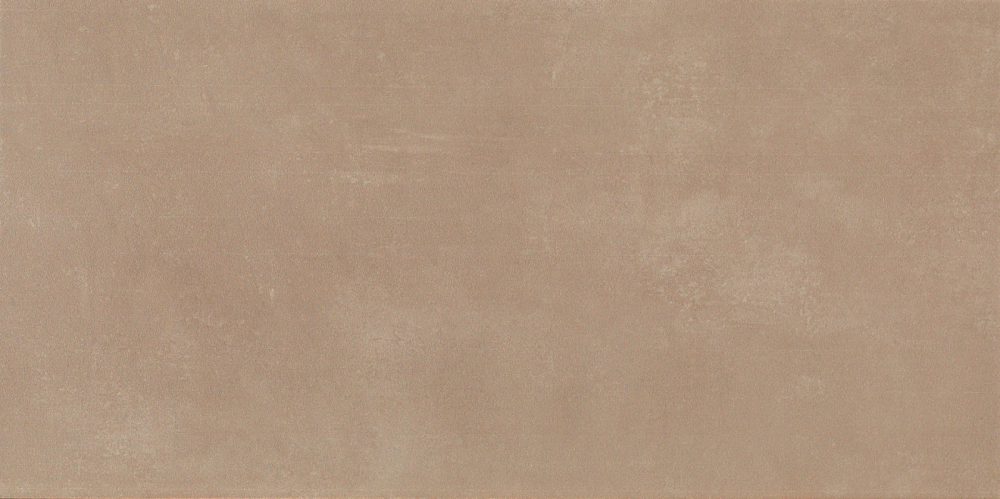 კედლის ფილა LYON TAUPE MAT 25X50 სურათი