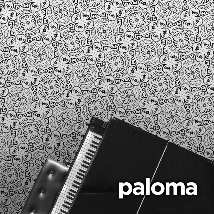 კერამო გრანიტი PALOMA BLACK 14მმ, 20X20 სურათი
