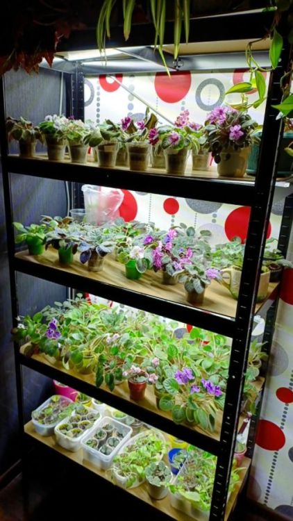 გერმანული ხარისხის მოდულური სტელაჟები – მყარი და საიმედო კონსტრუქცია სურათი