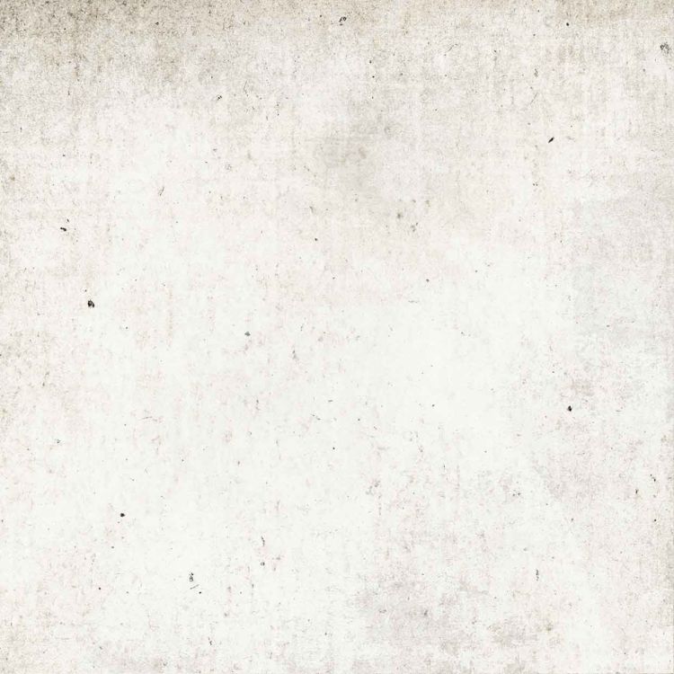 კერამო გრანიტი ROBINIA WHITE 20x20 სურათი