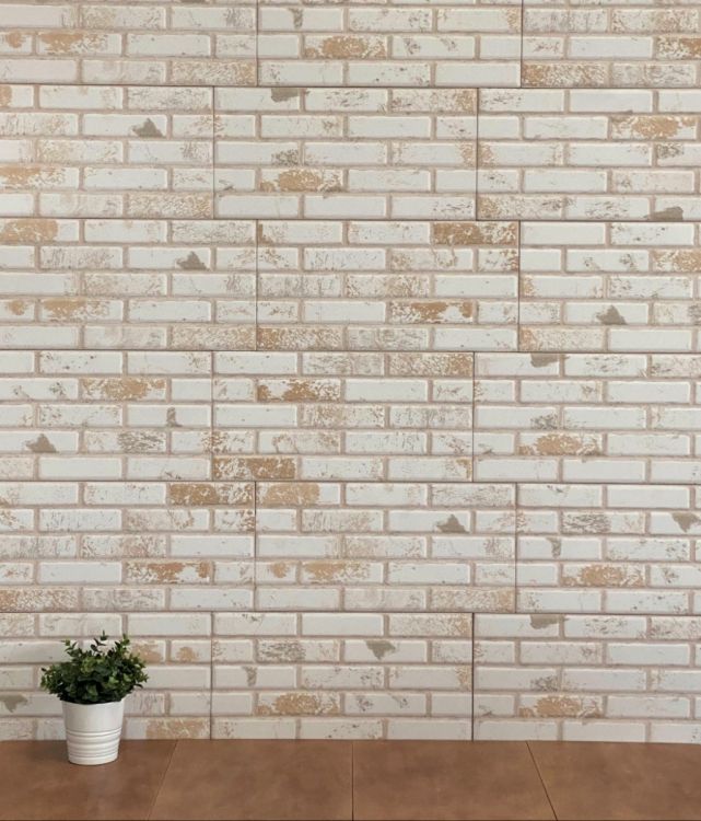 კედლის ფილა CARAVISTA BLANCO 25x50 სურათი