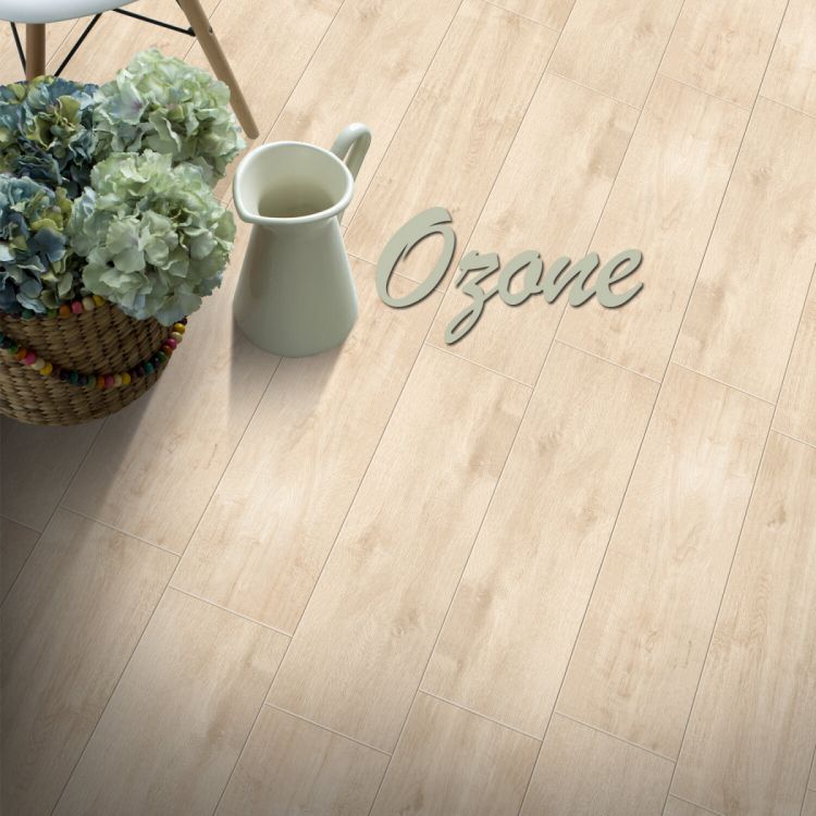 კერამო გრანიტი OZONE WHITE R10 15X50 სურათი