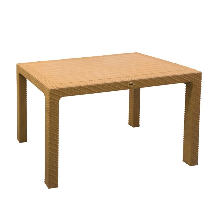 პლასტმასის მაგიდა R010 70x120 სურათი