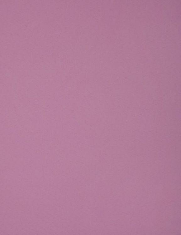 ფარდა-ჟალუზი როლეტი СРШ -01МЭ-155 61(57)/160სმ სურათი