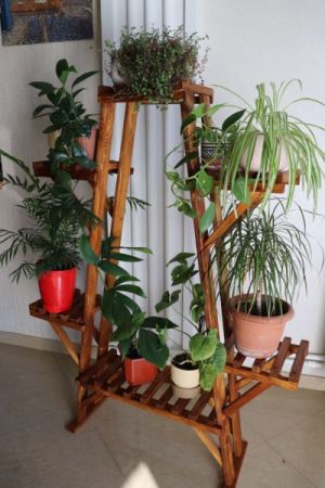 ორიგინალური ხელნაკეთი თარო / საყვავილე (ნატურალური ფიჭვი) სურათი