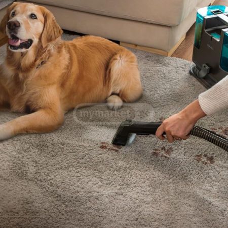 მტვერსასრუტი Aspirador de tapicerias Conga 3000 CarpetClean სურათი