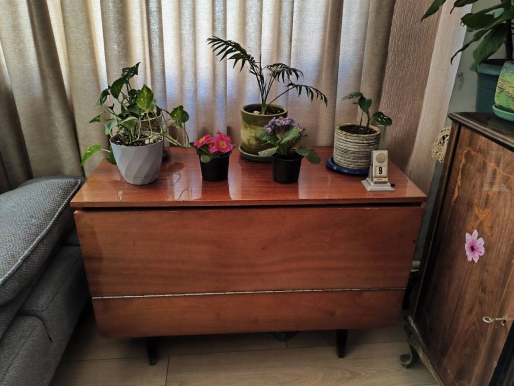 ხის ტუმბო – კლასიკური და საიმედო სურათი