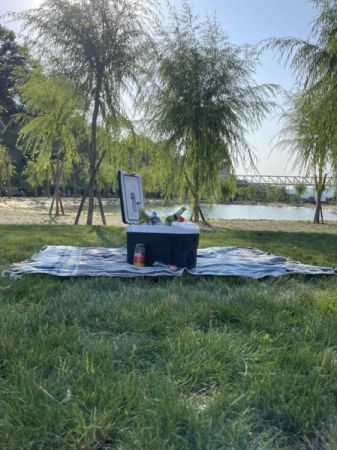 10 ლიტრიანი მინი მაცივარი სურათი