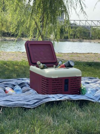 მანქანის  მაცივარი 9-18 ლიტრი (გაყინვის ფუნქციით, ფრეონზე) სურათი