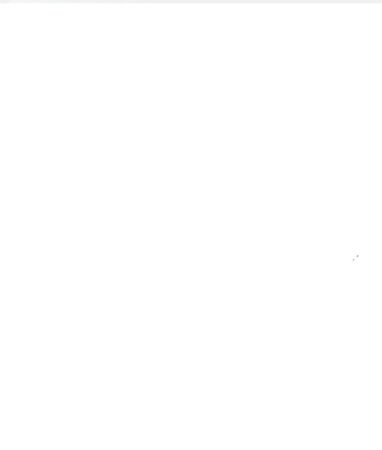 Iphone 16, 128gb, battery life 97% სურათი