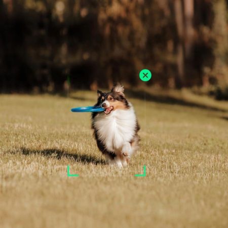 მობილური სტაბილიზატორი  DJI Osmo Mobile SE სურათი