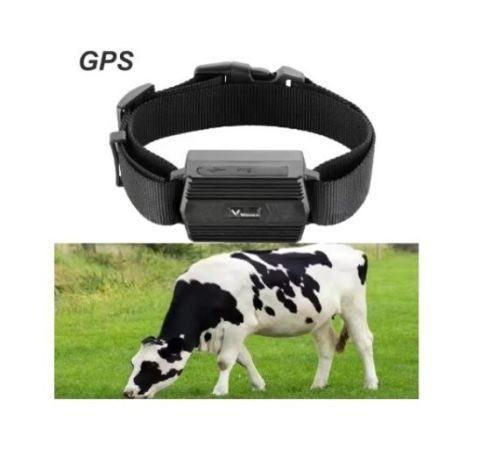 GPS ტრეკერი ჯიპიესი ჯიპიეს მოწყობილობა სურათი