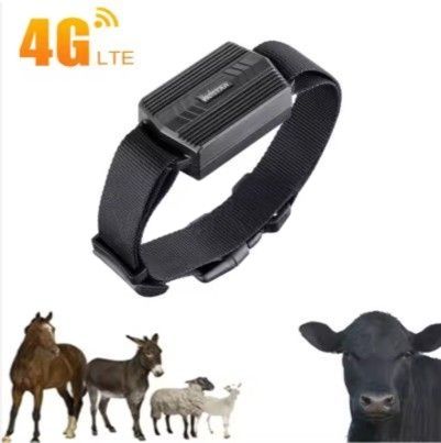 GPS ტრეკერი ჯიპიესი ჯიპიეს მოწყობილობა სურათი