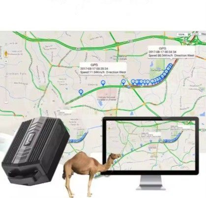 GPS ტრეკერი ჯიპიესი ჯიპიეს მოწყობილობა სურათი