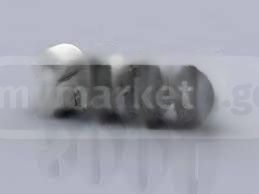 (AOOO-BB) 574 8000-33. ფორმდება საქართველოს მაშტაბით. სურათი