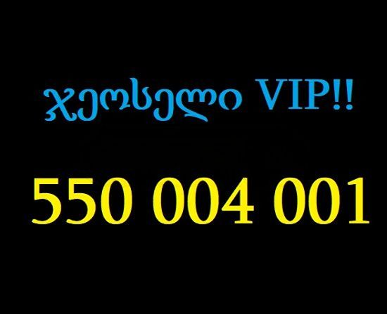 550 004 001 სურათი