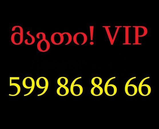 599 86 86 66 სურათი