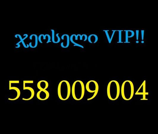 009 004 სურათი