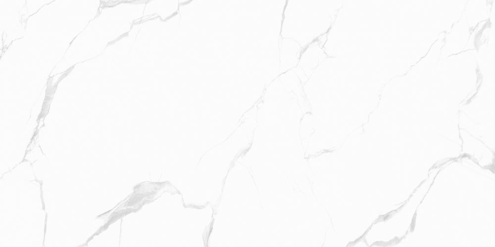 კერამო გრანიტი C.CARRARA MATT WHITE 60X120 სურათი