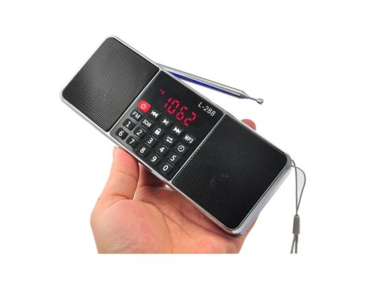 MP3 PLAYER / FM RADIO L-288 სურათი