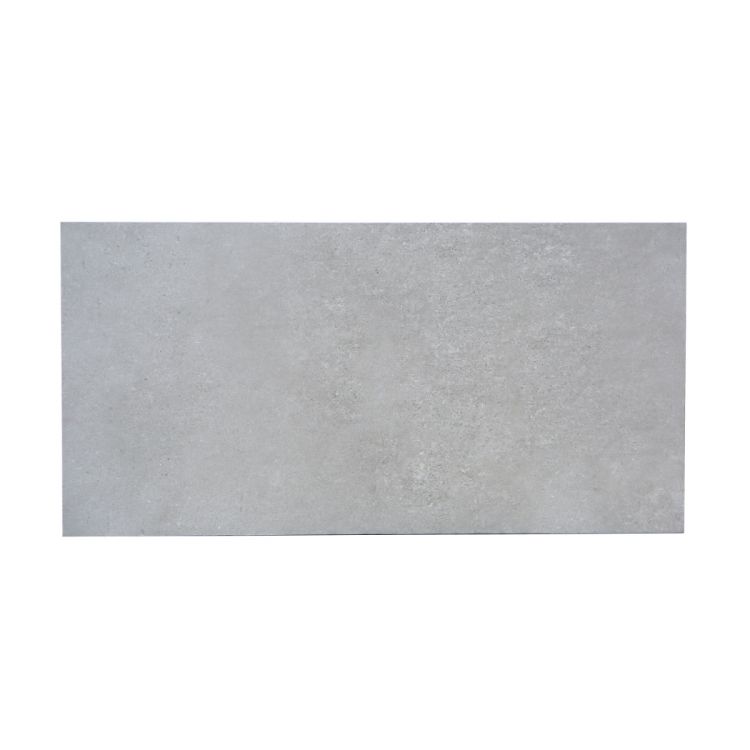 კერამო გრანიტი KANSAS (STORM) LIGHT GREY 30X60 სურათი