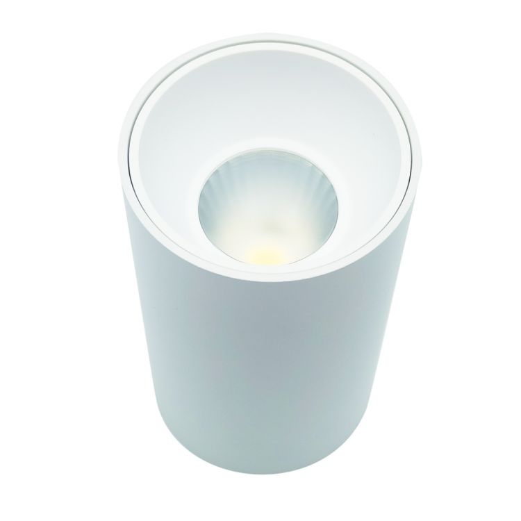 სანათი თეთრი pr-2 12w 4000k wt სურათი