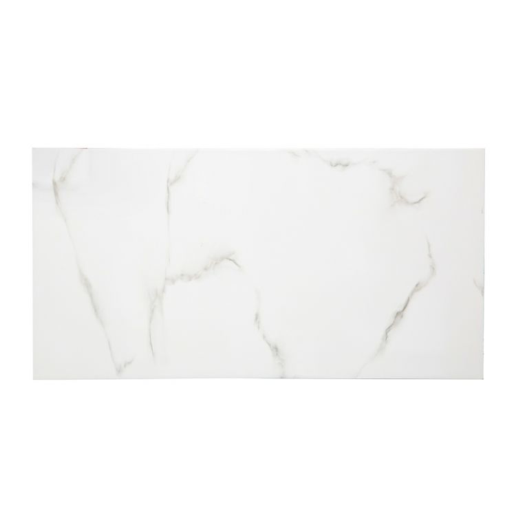 კედლის ფილა tania white 30x60 სურათი