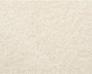 კედლის ფილა ERAWAN SOFT ALMOND LIGHT MT 20x60 სურათი