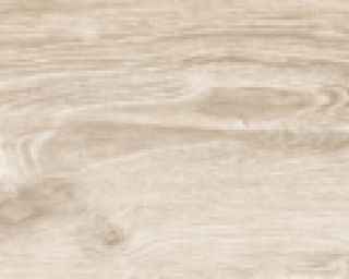 კერამო გრანიტი RAINFOREST BEIGE 20X120 სურათი