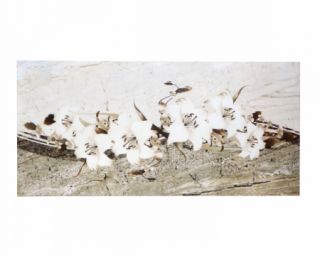 კედლის ფილა alp zeytuni decor 30X60
