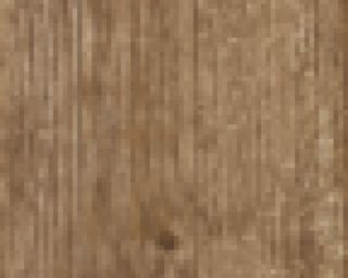 კერამო გრანიტი MONTEVERDE NOCE 20X120 სურათი