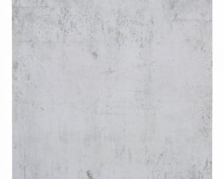 კერამო გრანიტი MURALES WHITE 60x60