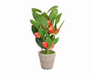 ხელოვნური ყვავილი 34997-9