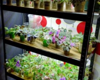 გერმანული ხარისხის მოდულური სტელაჟები – მყარი და საიმედო კონსტრუქცია