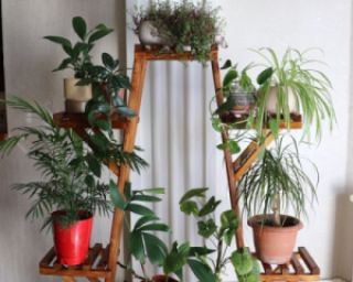 ორიგინალური ხელნაკეთი თარო / საყვავილე (ნატურალური ფიჭვი)