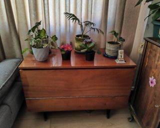 ხის ტუმბო – კლასიკური და საიმედო